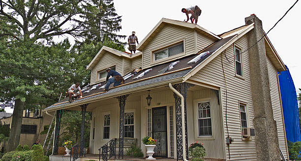 Best Commercial Roofing Services  in Island Lake, IL