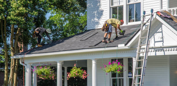 Best Roof Repair Services  in Island Lake, IL